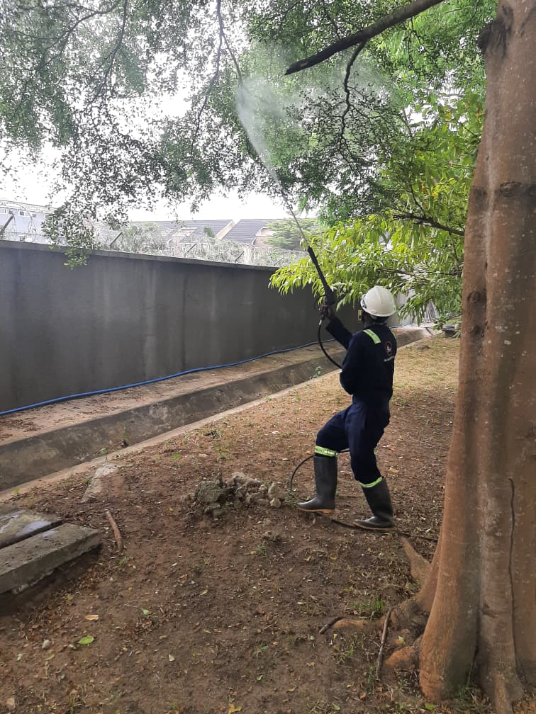 Structural pest defence